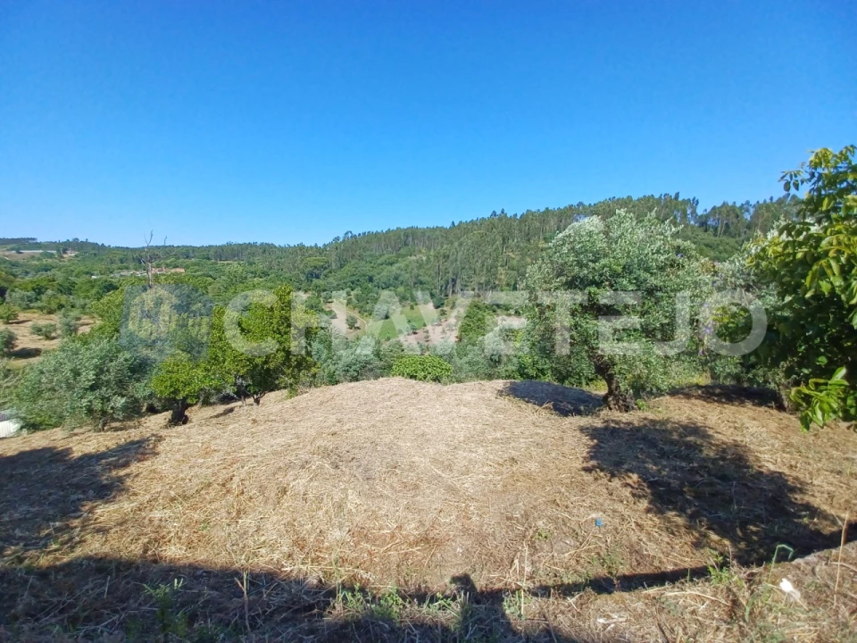 Moradia T3 para Venda em Casais e Alviobeira Foto 48