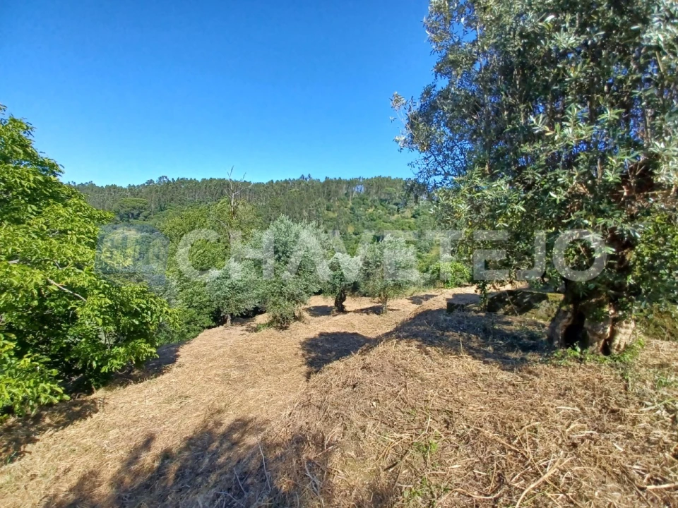 Moradia T3 para Venda em Casais e Alviobeira Foto 51