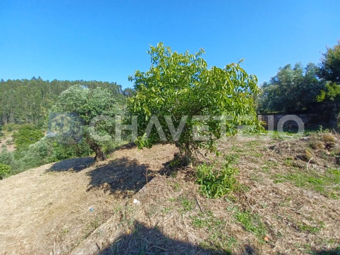 Moradia T3 para Venda em Casais e Alviobeira Foto 49