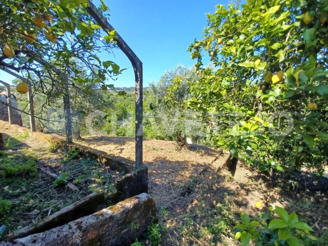 Moradia T3 para Venda em Casais e Alviobeira Foto 50