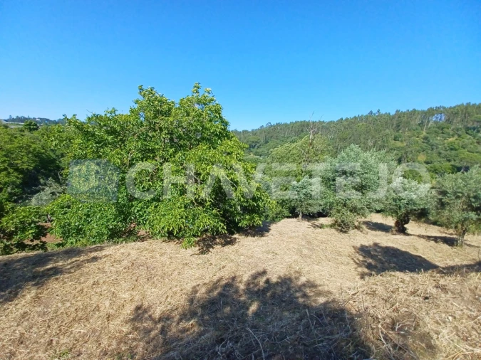 Moradia T3 para Venda em Casais e Alviobeira Foto 52