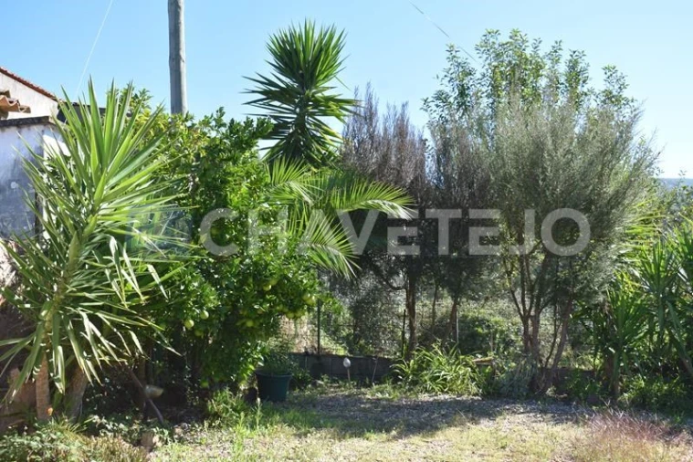 Quinta T2 para Venda em Cumeeira Foto 28