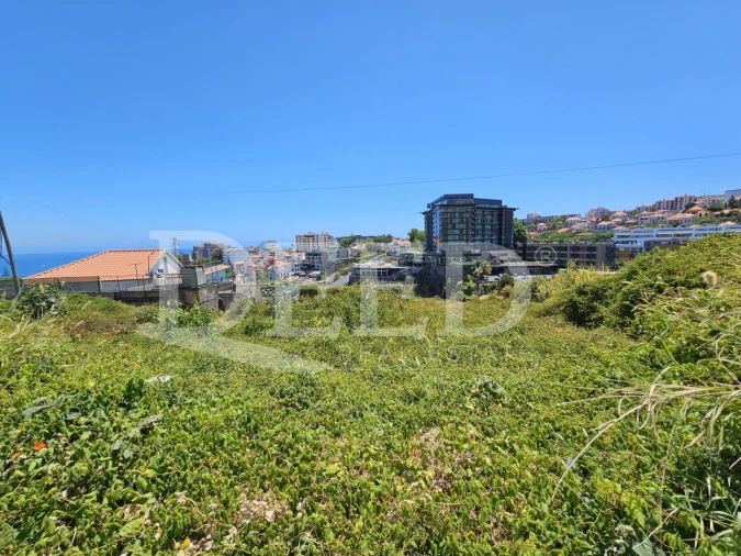 Terreno para Venda em Funchal (São Pedro) Foto 2