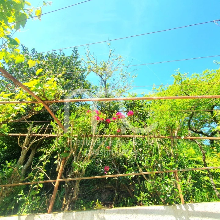 Moradia T3 para Venda em Arganil Foto 59