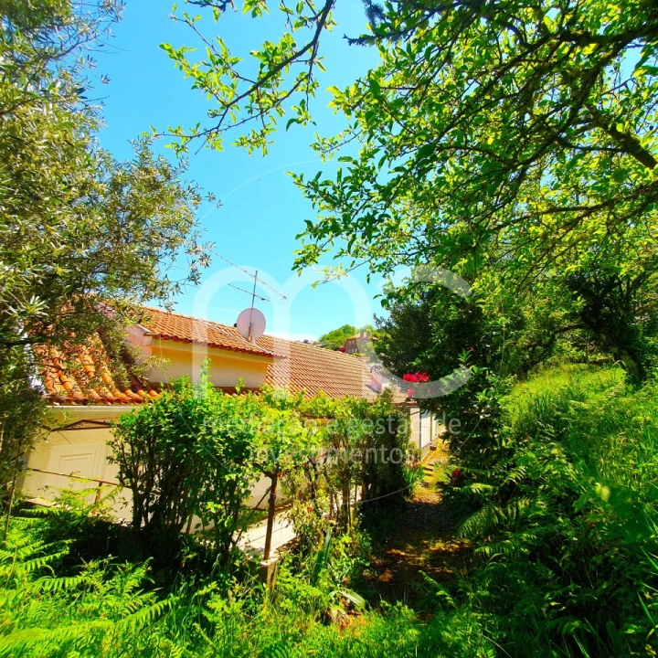 Moradia T3 para Venda em Arganil Foto 60