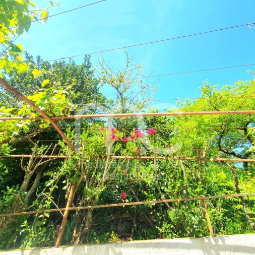 Moradia T3 para Venda em Arganil Foto 59