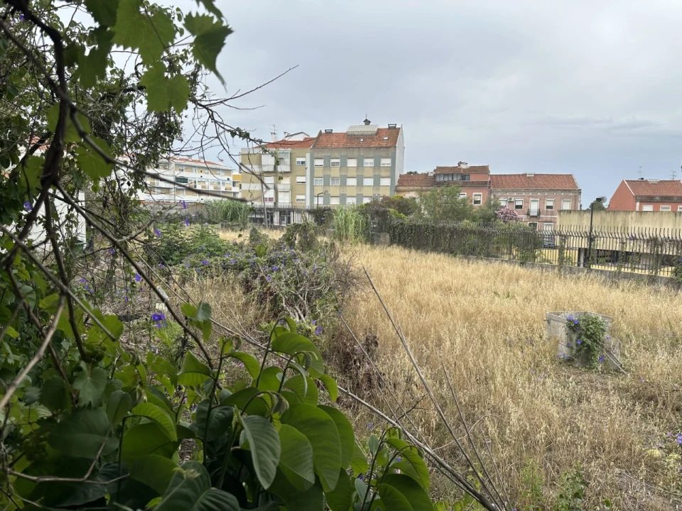 Terreno para Venda em Ajuda Foto 12