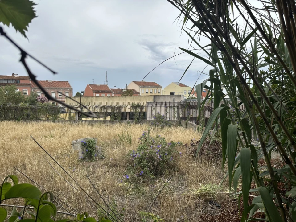 Terreno para Venda em Ajuda Foto 13