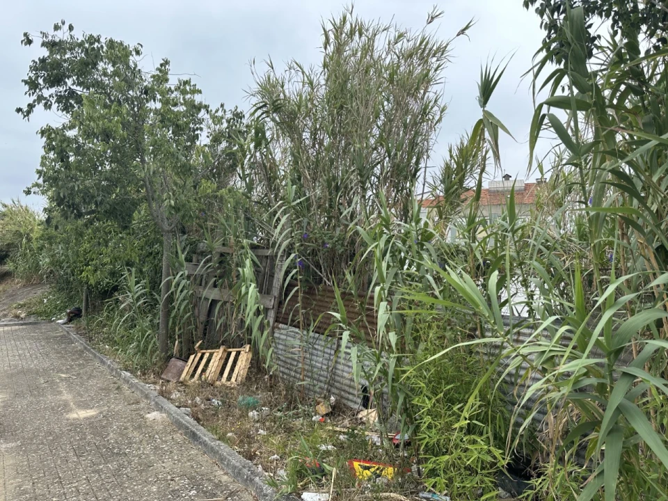 Terreno para Venda em Ajuda Foto 14