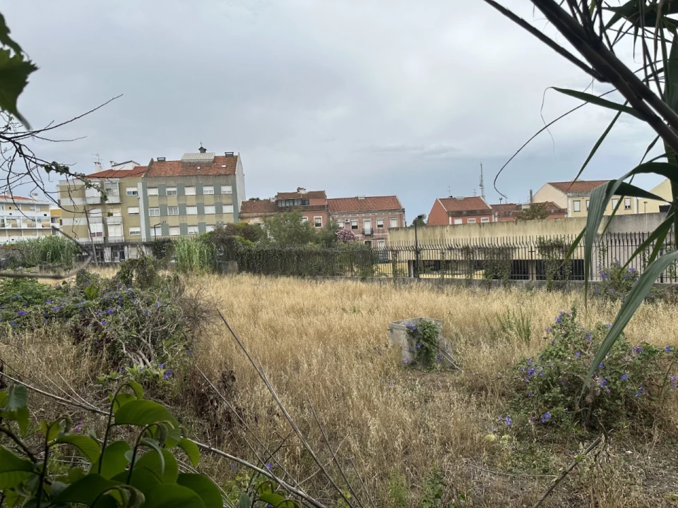 Terreno para Venda em Ajuda Foto 5