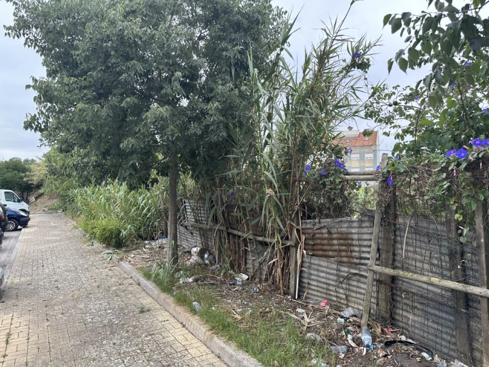 Terreno para Venda em Ajuda Foto 16