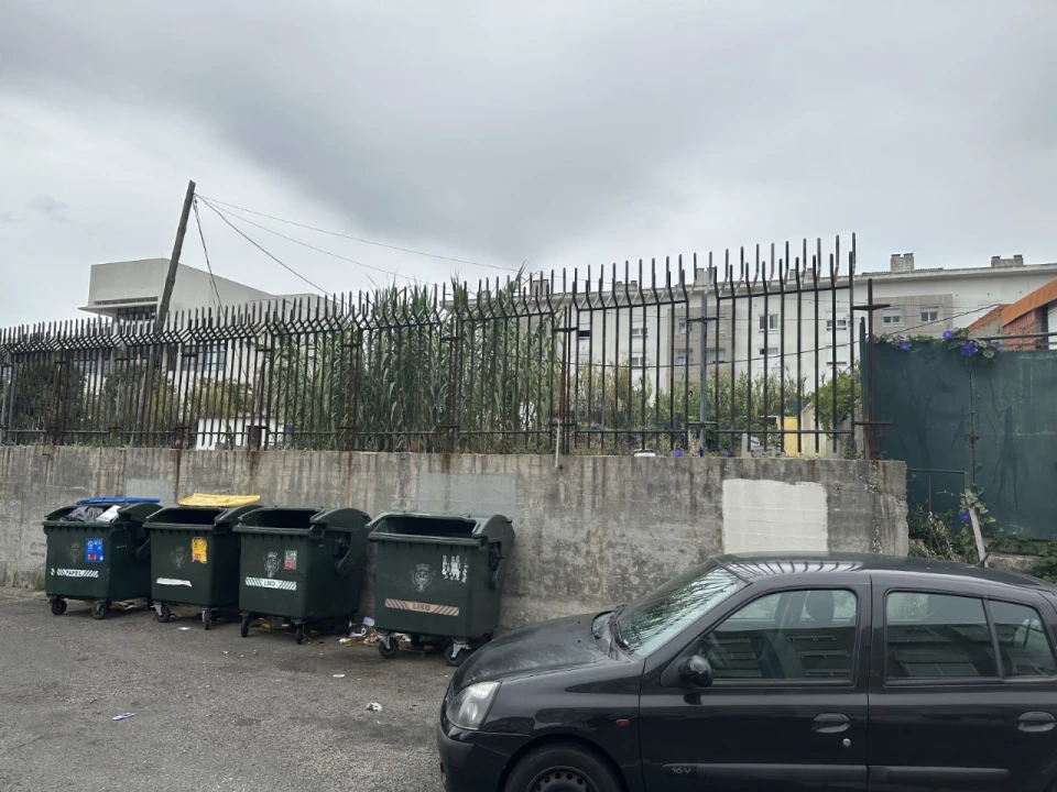 Terreno para Venda em Ajuda Foto 7