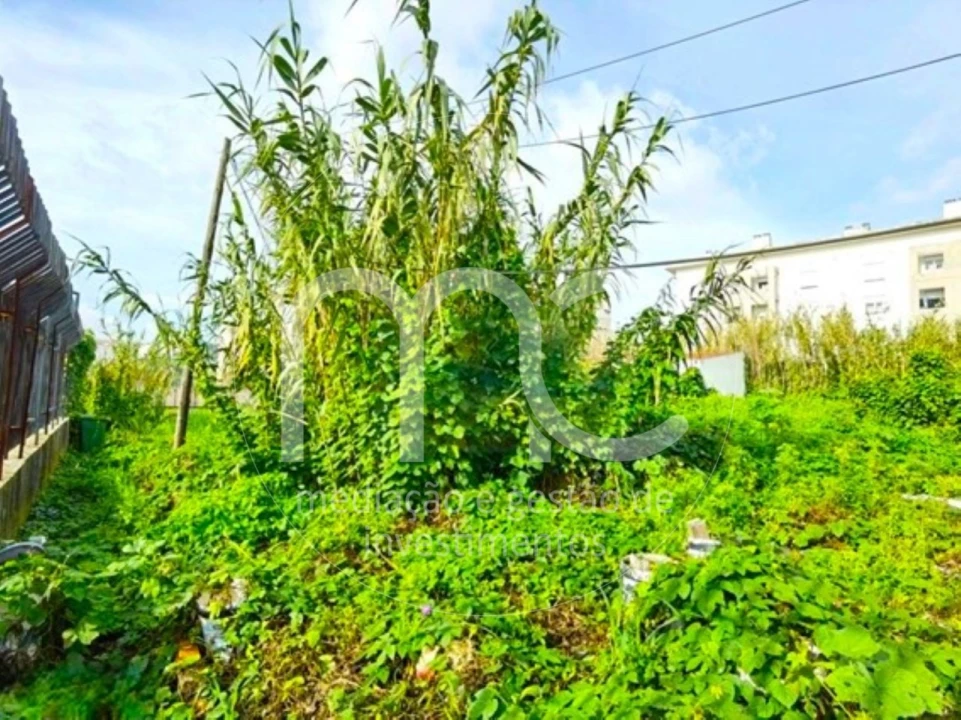 Terreno para Venda em Ajuda Foto 25