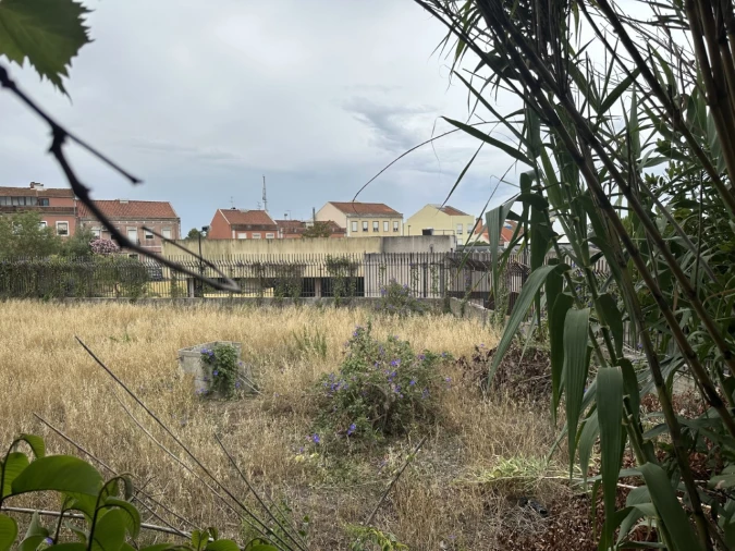 Terreno para Venda em Ajuda Foto 13
