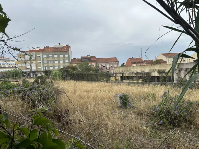 Terreno para Venda em Ajuda Foto 5