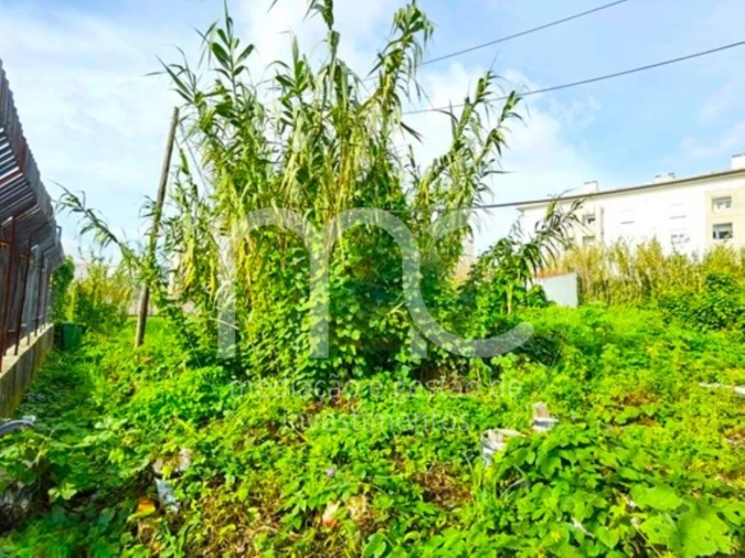 Terreno para Venda em Ajuda Foto 25