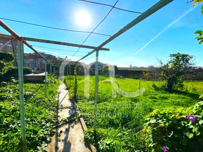 Terreno para Venda em Ajuda Foto 34