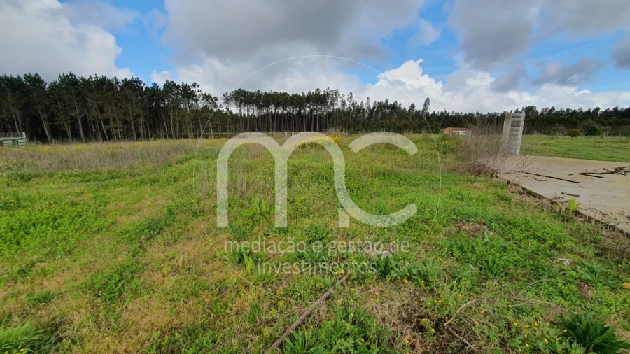 Moradia T7 para Venda em Bidoeira de Cima Foto 75