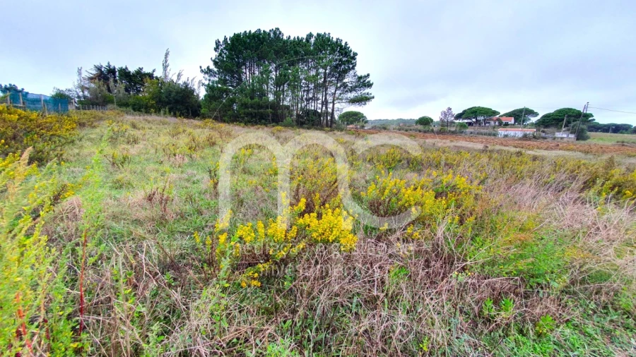 Moradia T3 para Venda em São João das Lampas e Terrugem Foto 58