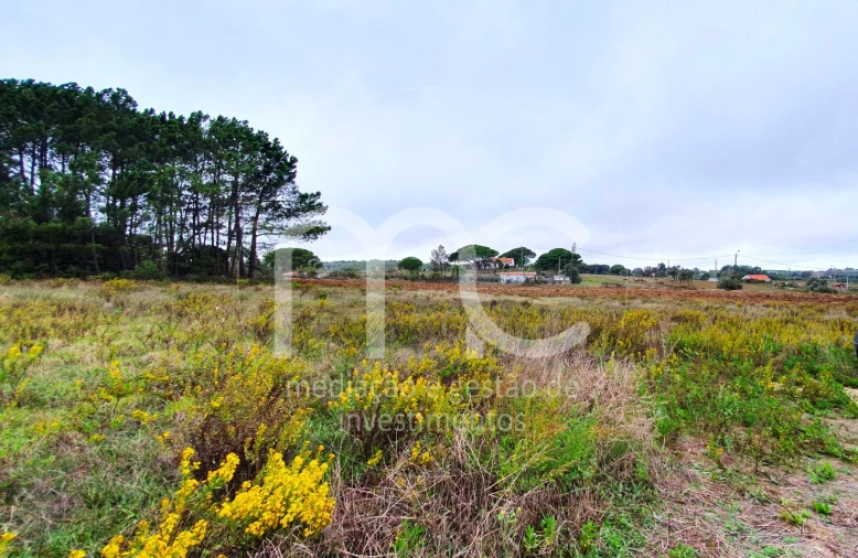 Moradia T3 para Venda em São João das Lampas e Terrugem Foto 61