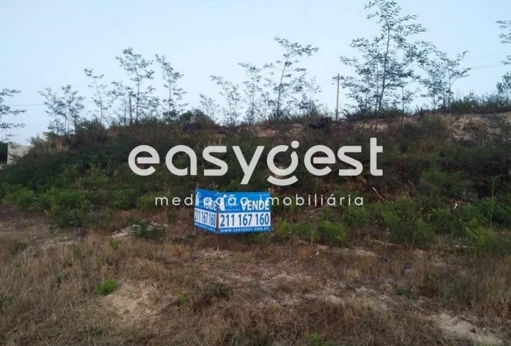 Terreno Agricola ou Rústico para Venda em Mira