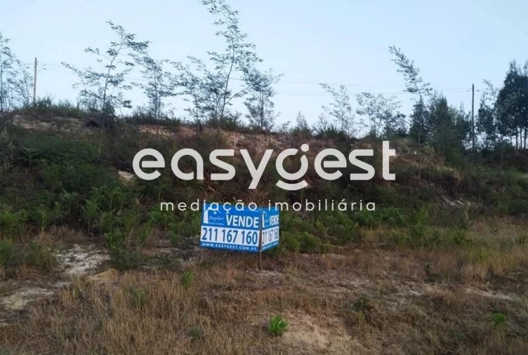 Terreno Agricola ou Rústico para Venda em Mira Foto 2