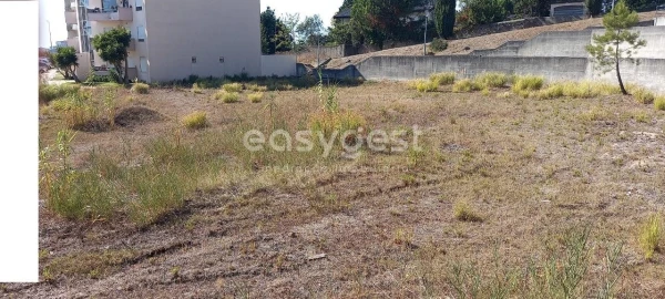 Terreno para Venda em Tavarede
