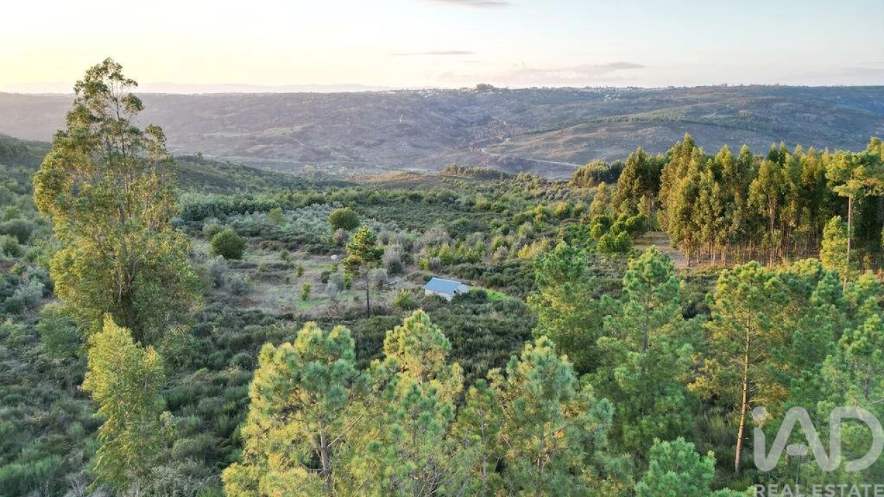 Terreno para Venda em Paranhos Foto 7