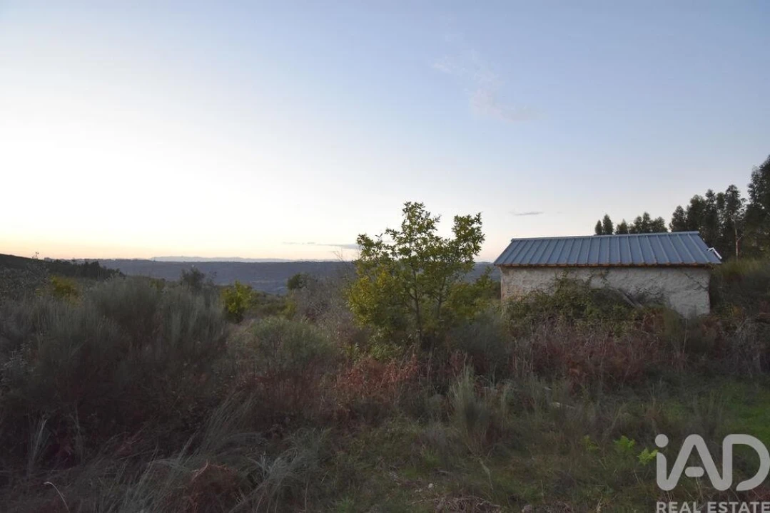 Terreno para Venda em Paranhos Foto 24