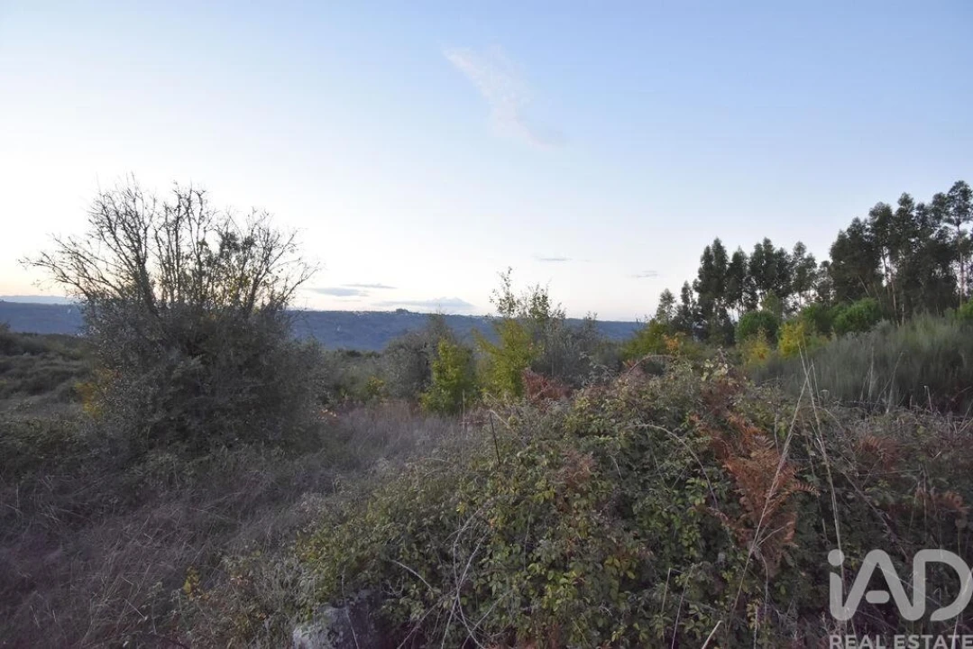 Terreno para Venda em Paranhos Foto 22