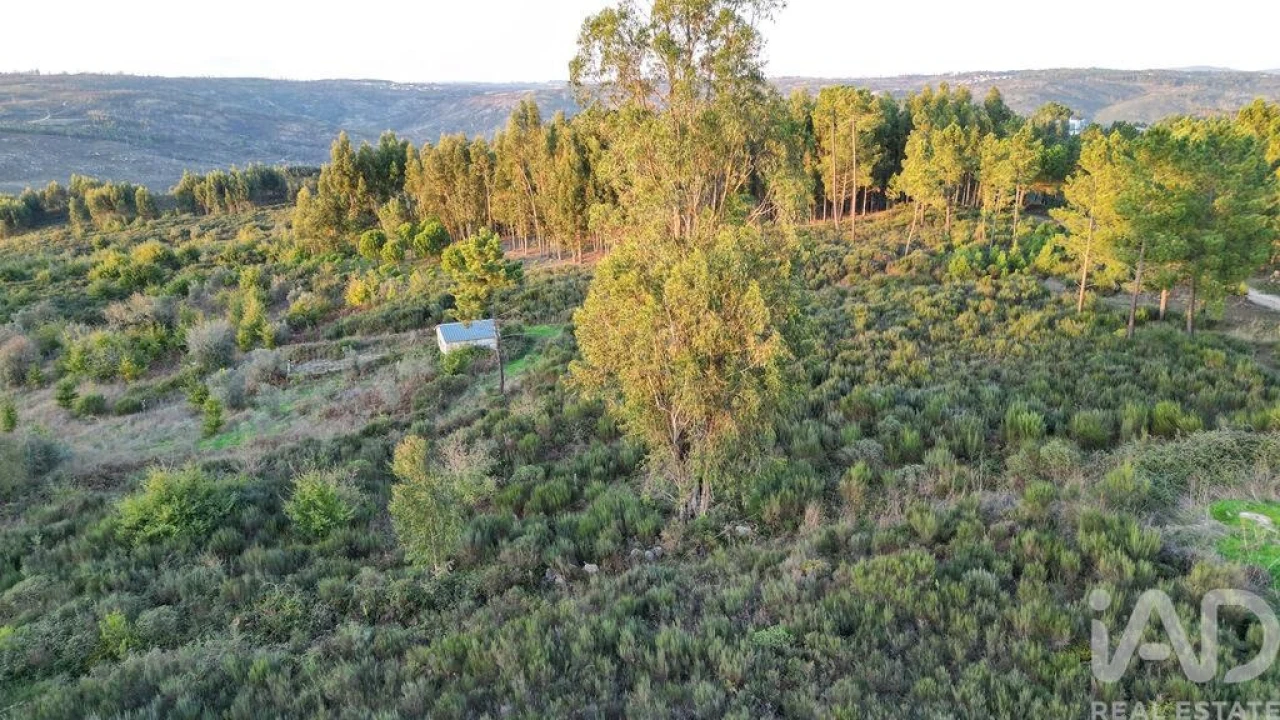 Terreno para Venda em Paranhos Foto 5
