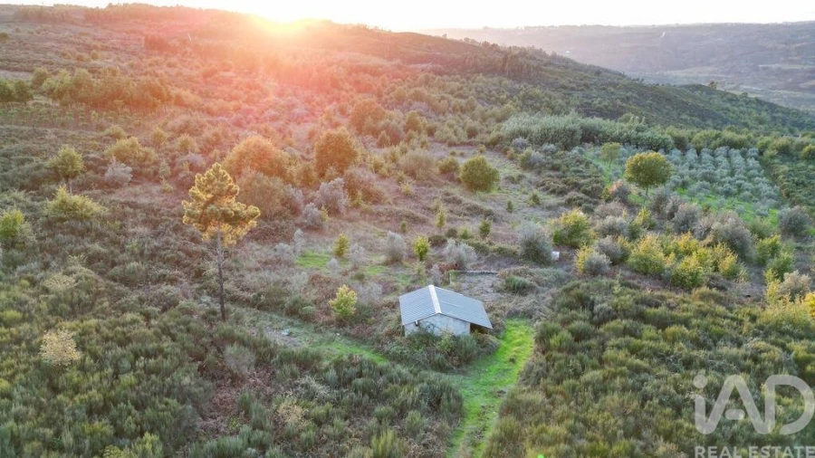 Terreno para Venda em Paranhos Foto 3