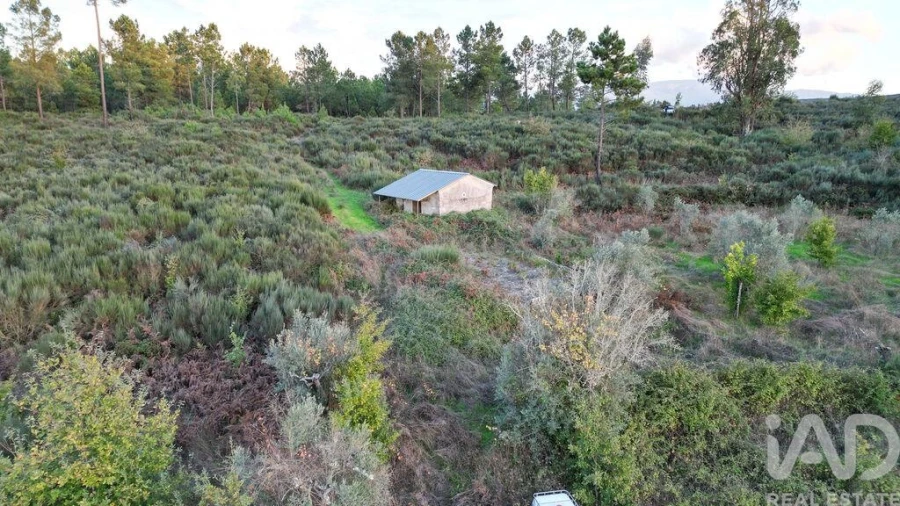 Terreno para Venda em Paranhos Foto 12