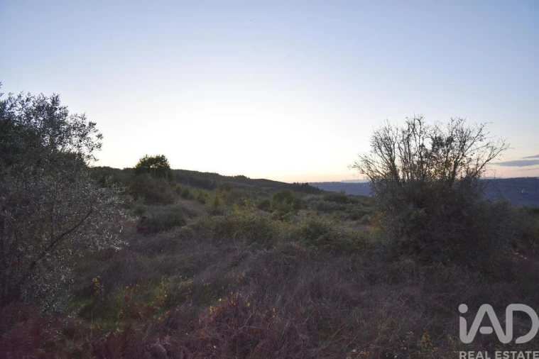 Terreno para Venda em Paranhos Foto 21
