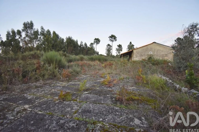Terreno para Venda em Paranhos Foto 20