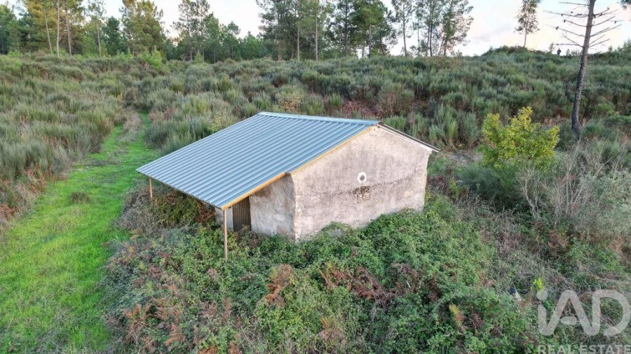 Terreno para Venda em Paranhos Foto 14