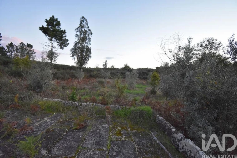 Terreno para Venda em Paranhos Foto 23