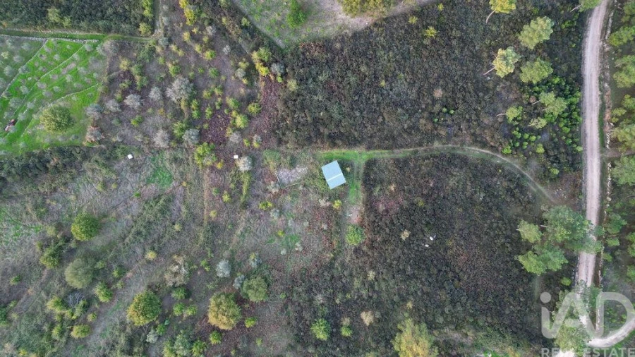 Terreno para Venda em Paranhos Foto 15