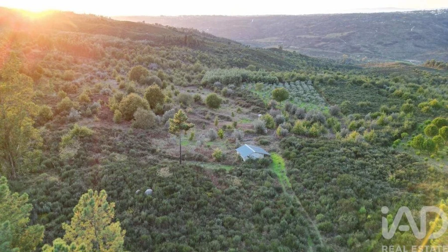 Terreno para Venda em Paranhos Foto 8