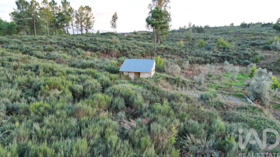 Terreno para Venda em Paranhos Foto 11
