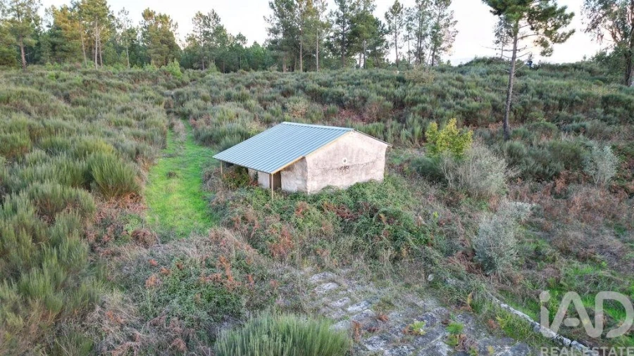 Terreno para Venda em Paranhos Foto 13
