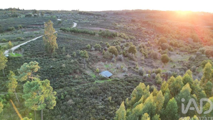 Terreno para Venda em Paranhos Foto 10