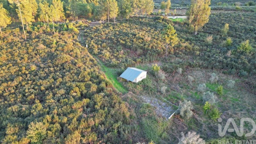 Terreno para Venda em Paranhos Foto 2