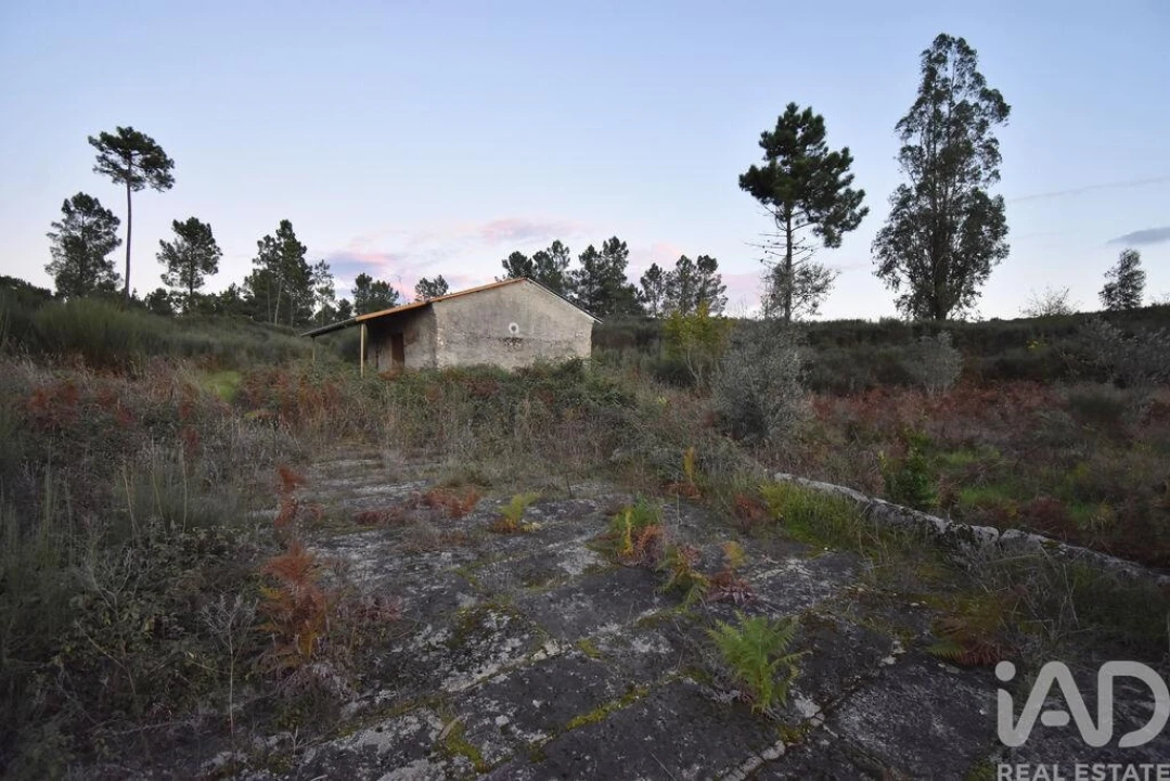 Terreno para Venda em Paranhos Foto 17