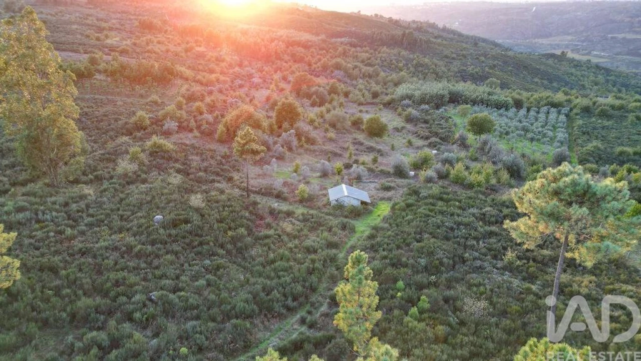 Terreno para Venda em Paranhos Foto 9