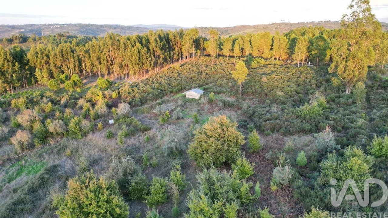 Terreno para Venda em Paranhos Foto 4