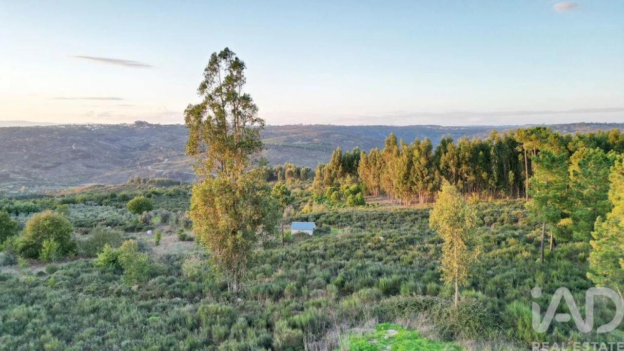 Terreno para Venda em Paranhos Foto 6