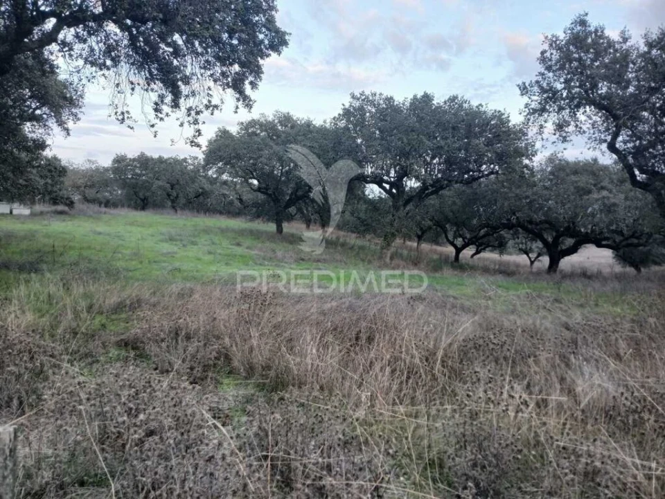 Terreno para Venda em Nossa Senhora da Conceição, São Brás dos Matos, Juromenha Foto 11