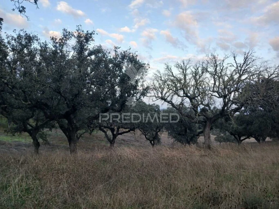 Terreno para Venda em Nossa Senhora da Conceição, São Brás dos Matos, Juromenha Foto 9