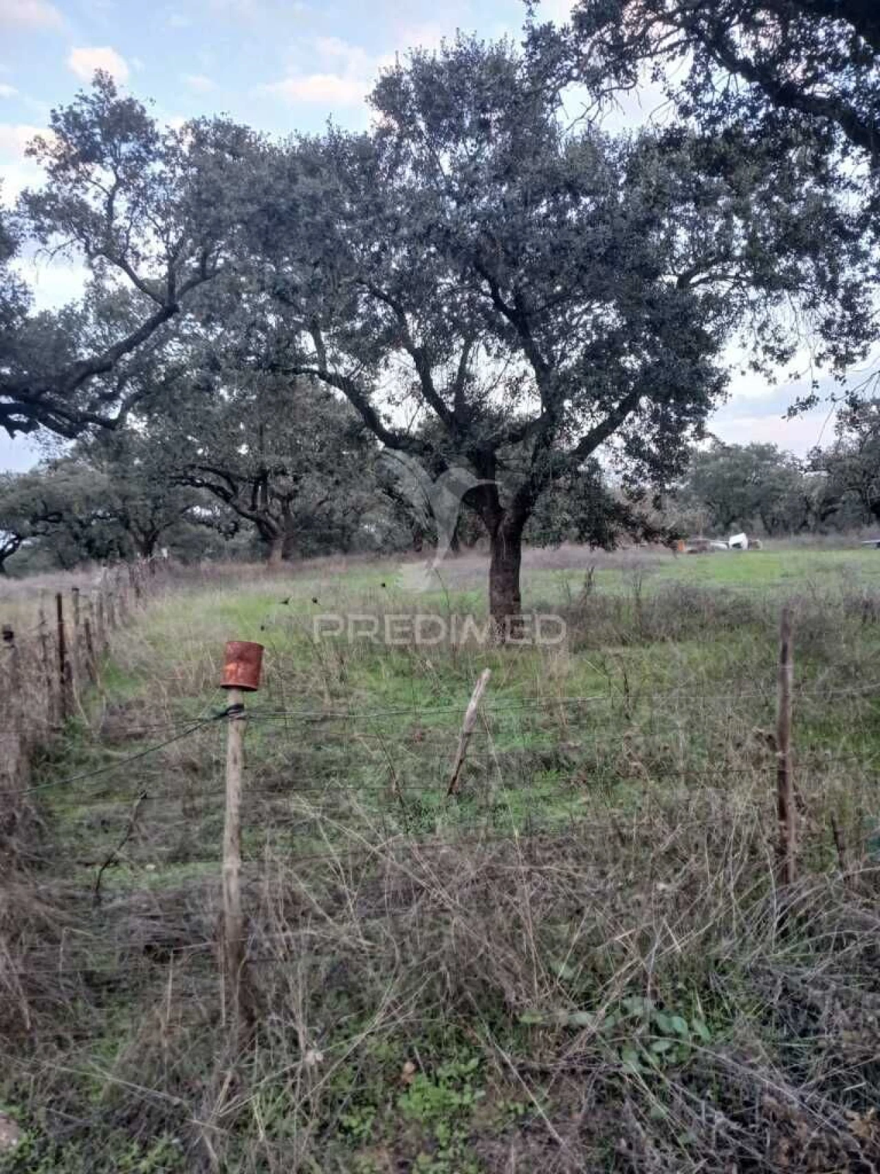 Terreno para Venda em Nossa Senhora da Conceição, São Brás dos Matos, Juromenha Foto 18